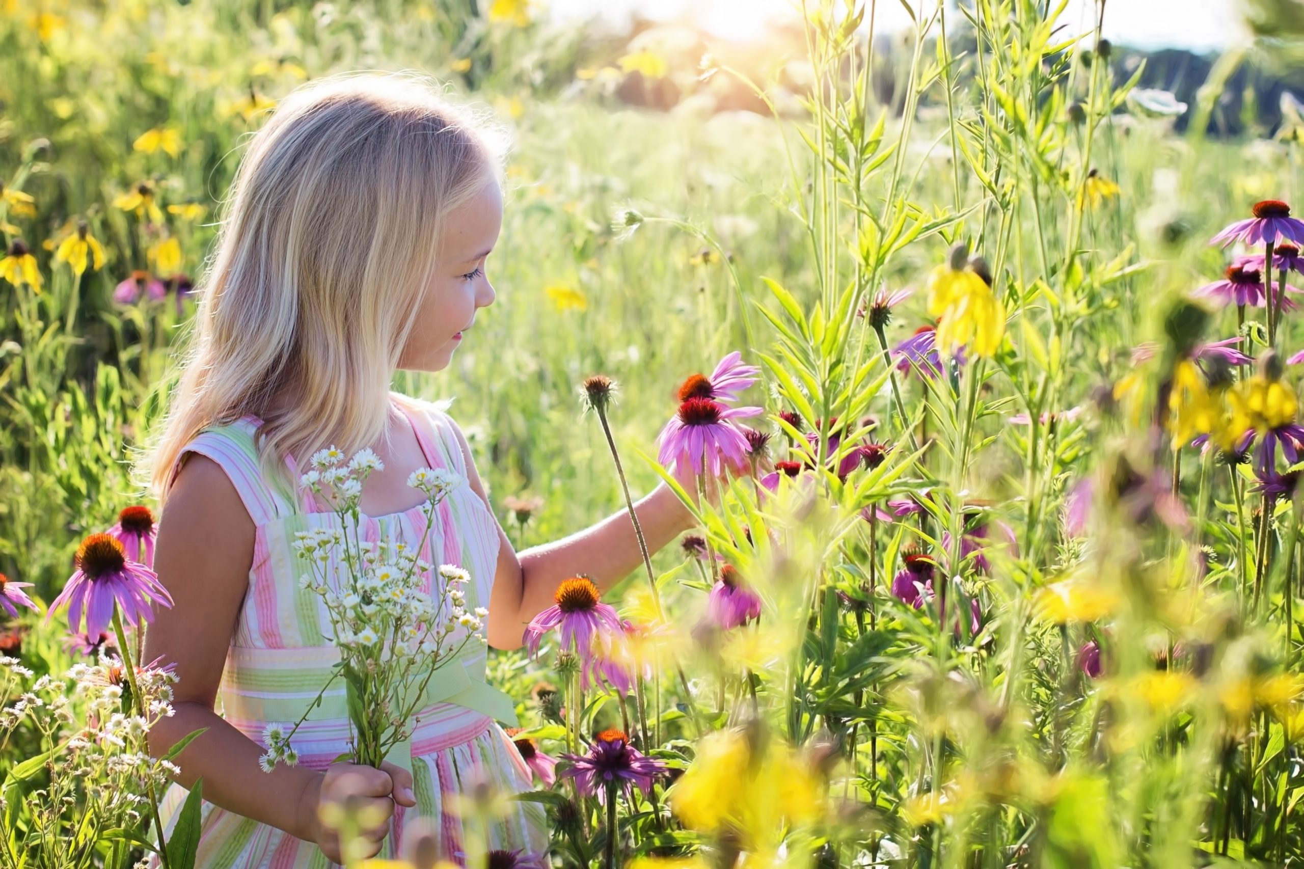 Montessori Une Education Pour Re Connecter L Enfant A La Nature Montessori Au Quebec